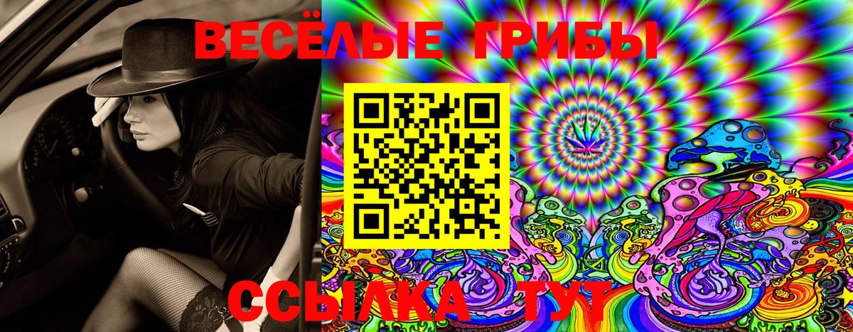 Елабуга  даркнет сайт  Вход с VPN  Галлюциногенные грибы Psilocybe 